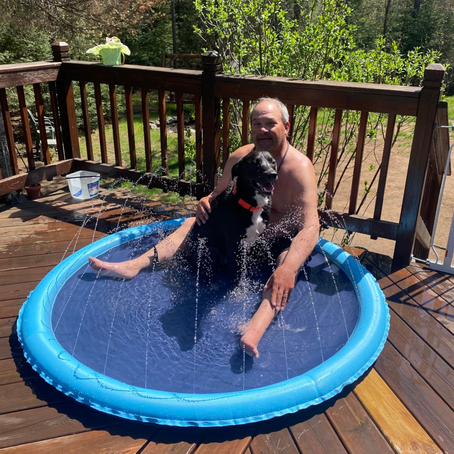 Whiskloo™-The Splash Pad Pets Can’t Get Enough Of